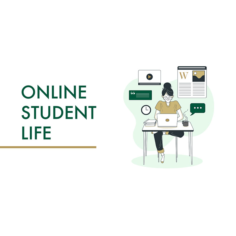 Online Student Life - Student at their desk, using their laptop.